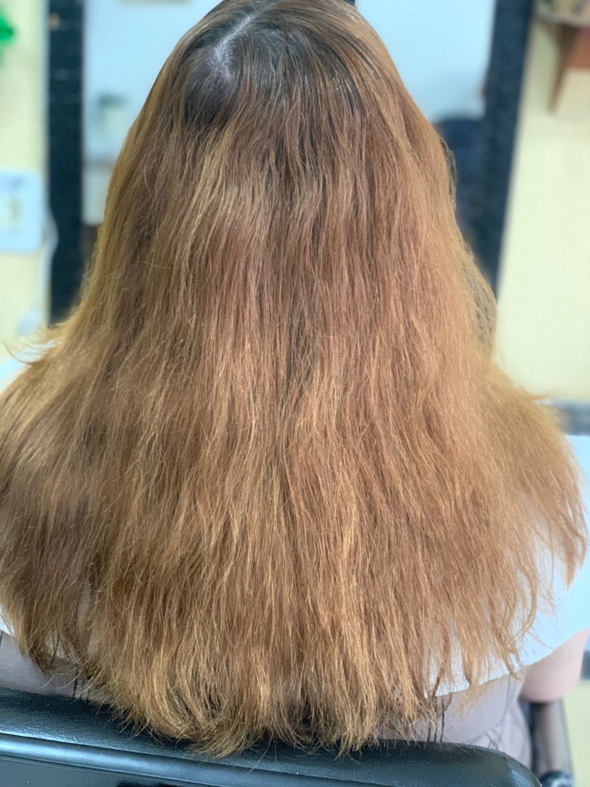 Cabelo antes: castanho, com frizz e pontas ressecadas